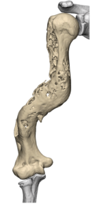 Obraz2_transparent_max_250KB
