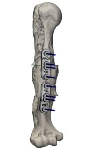 zabiegi10
